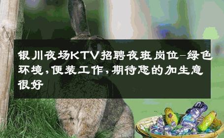 银川夜场KTV招聘夜班岗位-绿色环境,便装工作,期待您的加生意很好