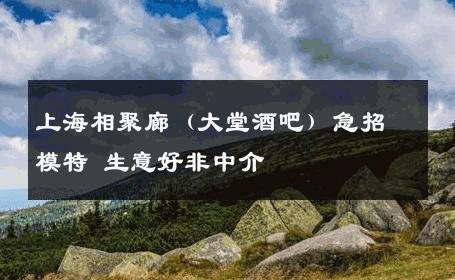 上海相聚廊（大堂酒吧）急招模特 生意好非中介