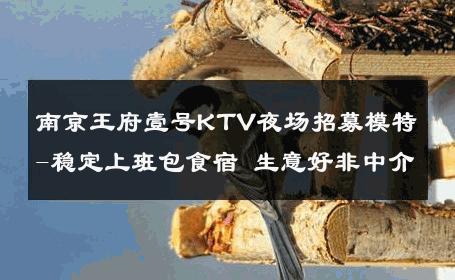 南京王府壹号KTV夜场招募模特-稳定上班包食宿 生意好非中介