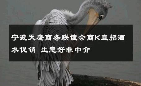 宁波天鹰商务联谊会商K直招酒水促销 生意好非中介