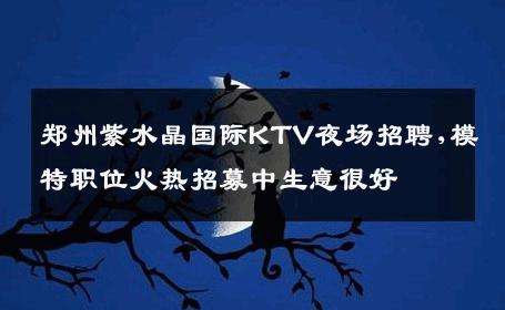 郑州紫水晶国际KTV夜场招聘,模特职位火热招募中生意很好