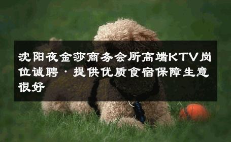 沈阳夜金莎商务会所高端KTV岗位诚聘·提供优质食宿保障生意很好