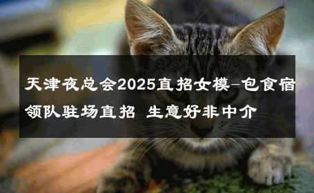 天津夜总会2025直招女模-包食宿领队驻场直招 生意好非中介