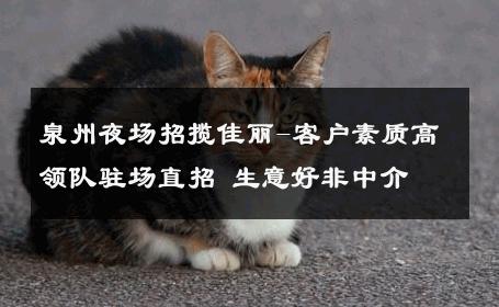 泉州夜场招揽佳丽-客户素质高领队驻场直招 生意好非中介