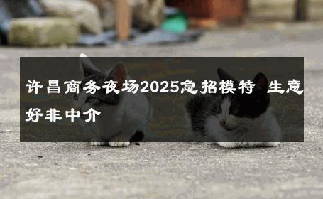 许昌商务夜场2025急招模特 生意好非中介
