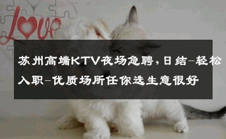 苏州高端KTV夜场急聘,日结-轻松入职-优质场所任你选生意很好