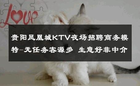 贵阳凤凰城KTV夜场招聘商务模特-无任务客源多 生意好非中介