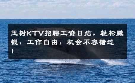 玉树KTV招聘工资日结，轻松赚钱，工作自由，机会不容错过！