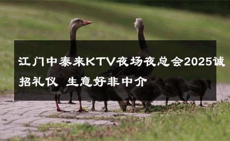 江门中泰来KTV夜场夜总会2025诚招礼仪 生意好非中介