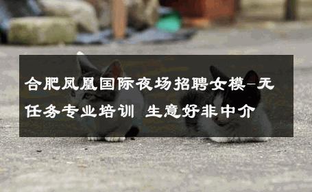 合肥凤凰国际夜场招聘女模-无任务专业培训 生意好非中介