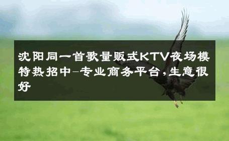 沈阳同一首歌量贩式KTV夜场模特热招中-专业商务平台,生意很好