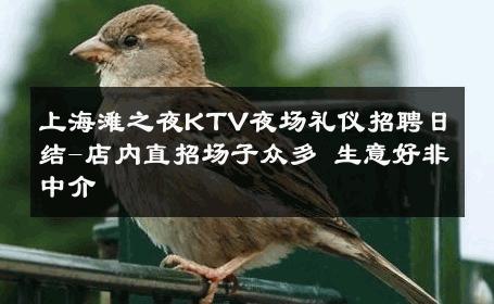 上海滩之夜KTV夜场礼仪招聘日结-店内直招场子众多 生意好非中介
