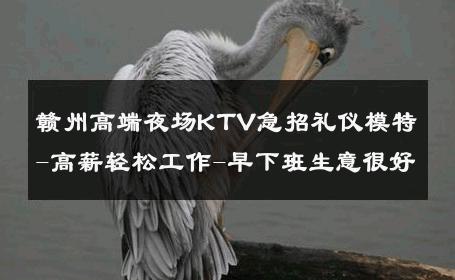 赣州高端夜场KTV急招礼仪模特-高薪轻松工作-早下班生意很好