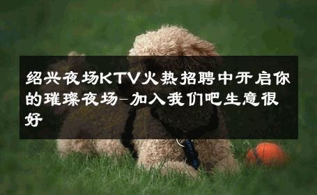 绍兴夜场KTV火热招聘中开启你的璀璨夜场-加入我们吧生意很好