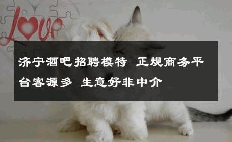 济宁酒吧招聘模特-正规商务平台客源多 生意好非中介