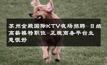 苏州金殿国际KTV夜场招聘-日结高薪模特职位-正规商务平台生意很好