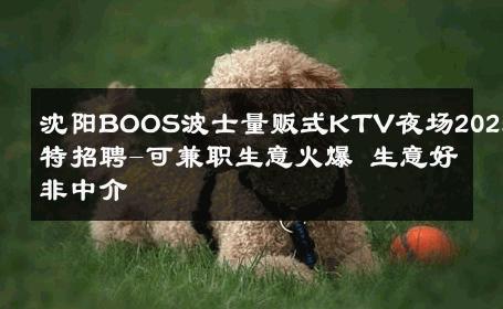 沈阳BOOS波士量贩式KTV夜场2025模特招聘-可兼职生意火爆 生意好非中介