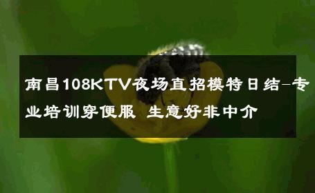 南昌108KTV夜场直招模特日结-专业培训穿便服 生意好非中介