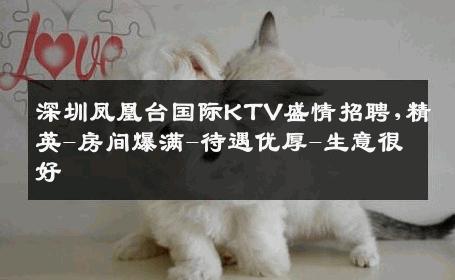 深圳凤凰台国际KTV盛情招聘,精英-房间爆满-待遇优厚-生意很好