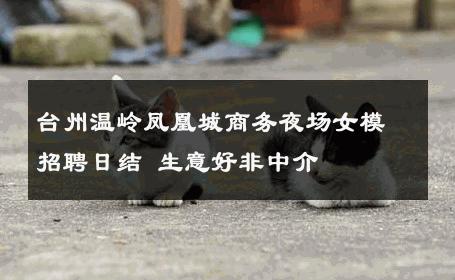 台州温岭凤凰城商务夜场女模招聘日结 生意好非中介
