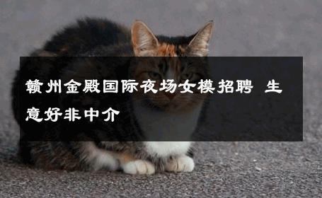 赣州金殿国际夜场女模招聘 生意好非中介