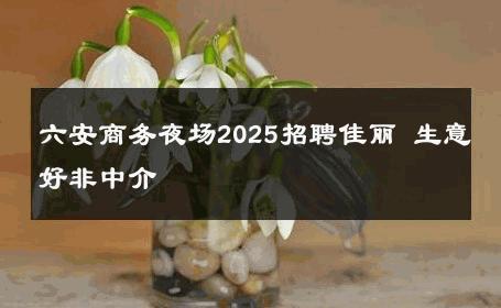 六安商务夜场2025招聘佳丽 生意好非中介