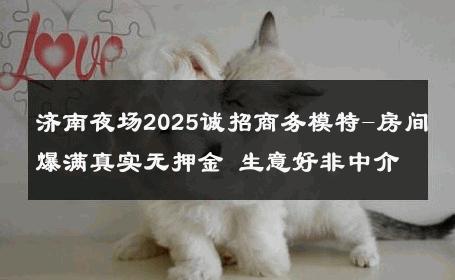 济南夜场2025诚招商务模特-房间爆满真实无押金 生意好非中介