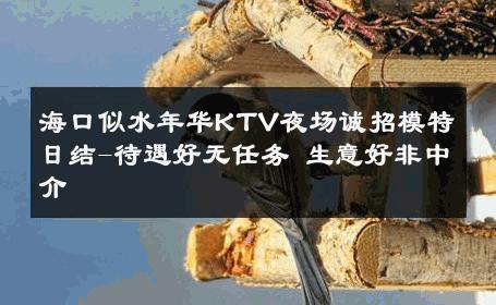 海口似水年华KTV夜场诚招模特日结-待遇好无任务 生意好非中介