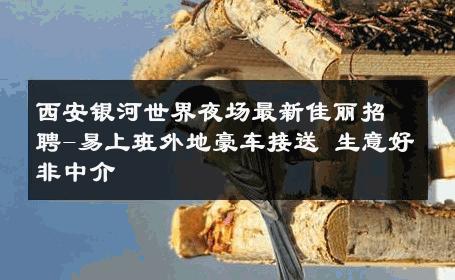 西安银河世界夜场最新佳丽招聘-易上班外地豪车接送 生意好非中介