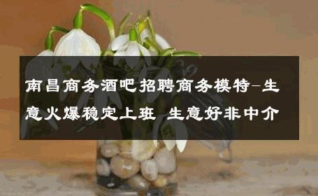 南昌商务酒吧招聘商务模特-生意火爆稳定上班 生意好非中介