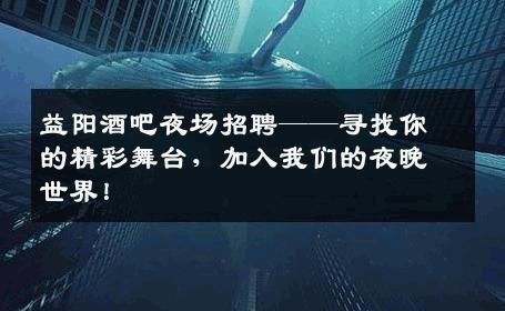 益阳酒吧夜场招聘——寻找你的精彩舞台，加入我们的夜晚世界！