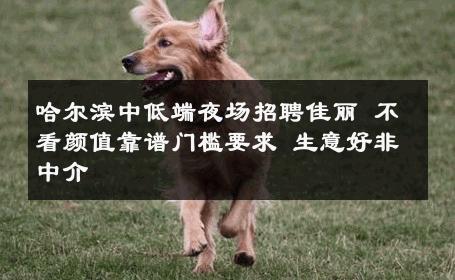 哈尔滨中低端夜场招聘佳丽 不看颜值靠谱门槛要求 生意好非中介