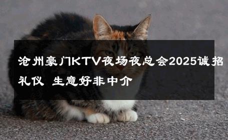沧州豪门KTV夜场夜总会2025诚招礼仪 生意好非中介