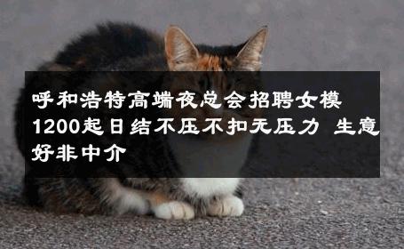 呼和浩特高端夜总会招聘女模1200起日结不压不扣无压力 生意好非中介