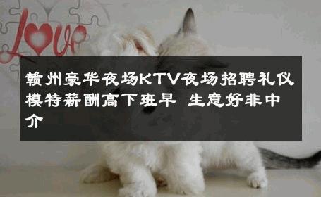 赣州豪华夜场KTV夜场招聘礼仪模特薪酬高下班早 生意好非中介