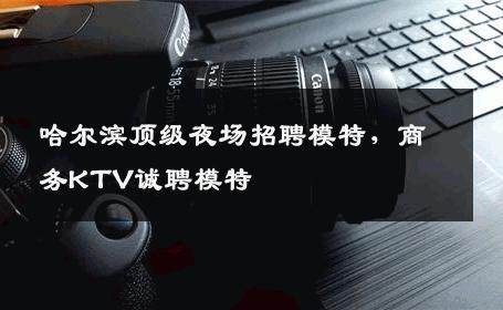 哈尔滨顶级夜场招聘模特，商务KTV诚聘模特