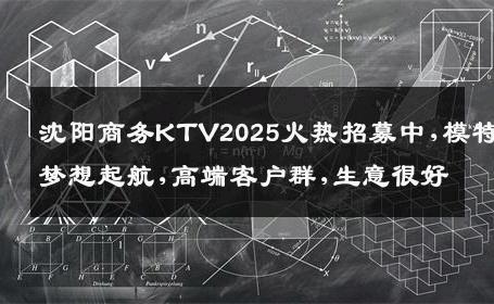 沈阳商务KTV2025火热招募中,模特梦想起航,高端客户群,生意很好