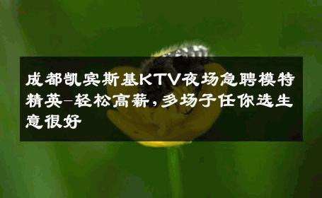 成都凯宾斯基KTV夜场急聘模特精英-轻松高薪,多场子任你选生意很好