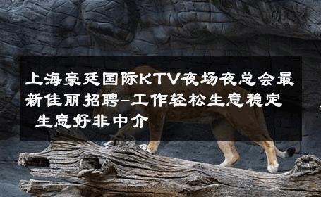 上海豪廷国际KTV夜场夜总会最新佳丽招聘-工作轻松生意稳定 生意好非中介
