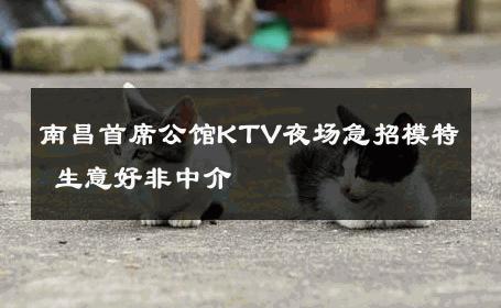 南昌首席公馆KTV夜场急招模特 生意好非中介