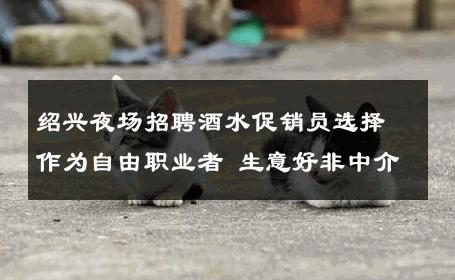 绍兴夜场招聘酒水促销员选择作为自由职业者 生意好非中介