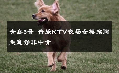 青岛3号 音乐KTV夜场女模招聘 生意好非中介