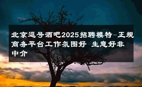 北京逗号酒吧2025招聘模特-正规商务平台工作氛围好 生意好非中介