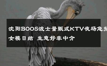 沈阳BOOS波士量贩式KTV夜场急招女模日结 生意好非中介