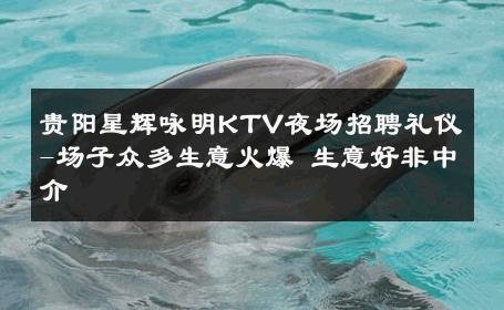 贵阳星辉咏明KTV夜场招聘礼仪-场子众多生意火爆 生意好非中介