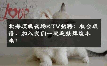 北海顶级夜场KTV招聘：机会难得，加入我们一起迎接辉煌未来！