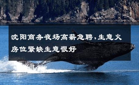沈阳商务夜场高薪急聘,生意火房位紧缺生意很好