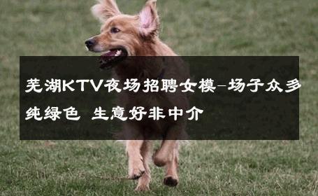 芜湖KTV夜场招聘女模-场子众多纯绿色 生意好非中介