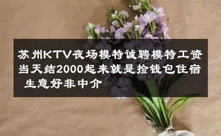 苏州KTV夜场模特诚聘模特工资当天结2000起来就是捡钱包住宿 生意好非中介