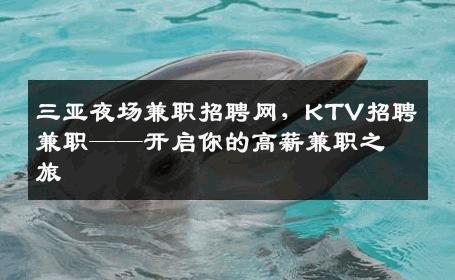 三亚夜场兼职招聘网，KTV招聘兼职——开启你的高薪兼职之旅